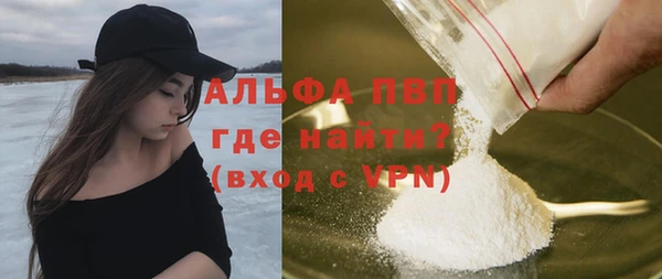сатива Богородицк