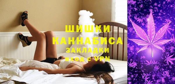 спайс Богданович