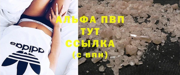 сатива Богородицк