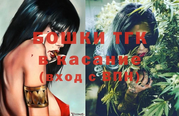 сатива Богородицк