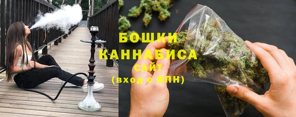 МДПВ Богородск