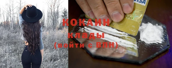 сатива Богородицк
