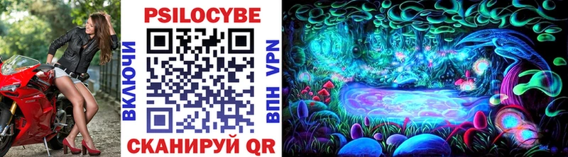 купить наркотик  Гаврилов-Ям  Псилоцибиновые грибы Psilocybine cubensis 